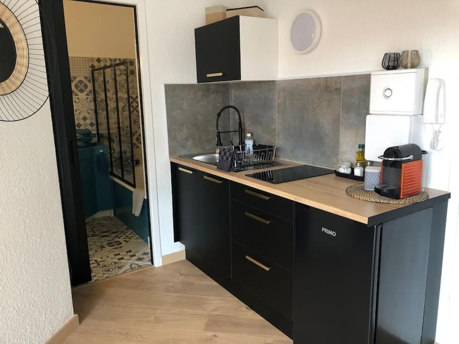 Studio Moderne, Terrasse Et Parking Romans-sur-Isere Luaran gambar